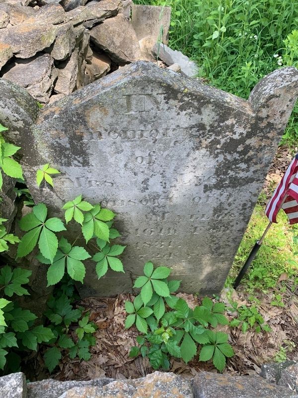 Lucy Mallory Stone image. Click for full size.