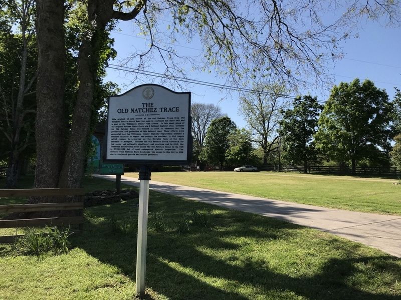 The Old Natchez Trace / Old Town Historic Daffodil Project Marker image. Click for full size.