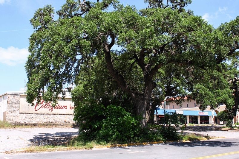 Site of Hays County's First Public Building Marker Area image. Click for full size.