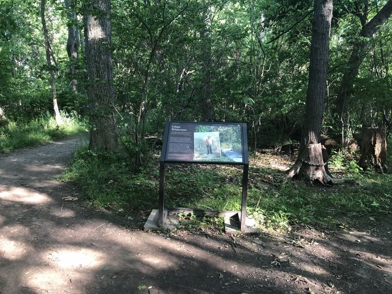 Urban Wilderness Marker. Click for full size. Urban Wilderness Marker image. Click for full size.