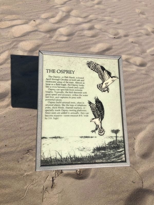 The Osprey Marker image. Click for full size.