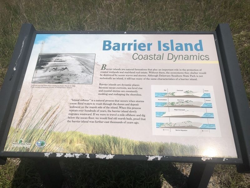 Barrier Island Nature Marker image. Click for full size.
