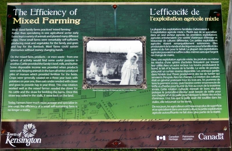 The Efficiency of Mixed Farming Marker image. Click for full size.