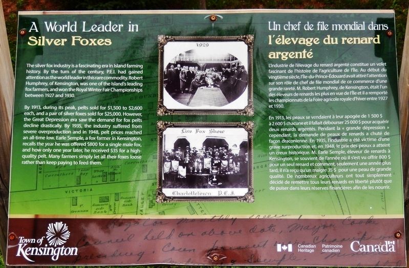 A World Leader in Silver Foxes Marker image. Click for full size.