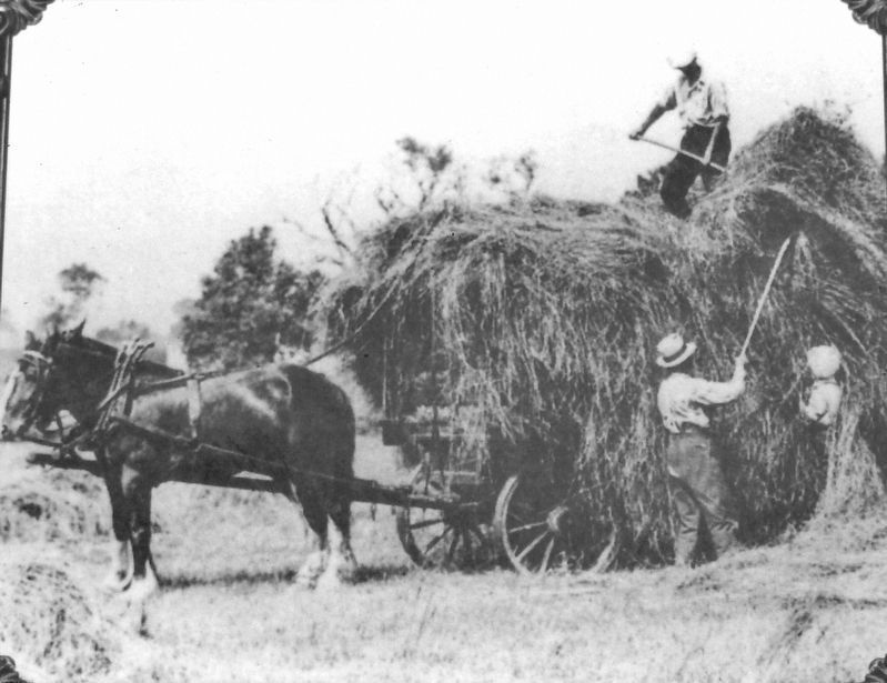 Marker detail: Horse-and-wagon Hay Farming image. Click for full size.