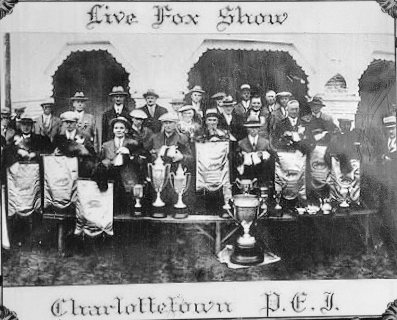 Marker detail: Live Fox Show image. Click for full size.