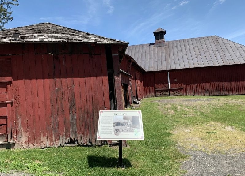 Barnyard Marker. Click for full size. Barnyard Marker image. Click for full size.