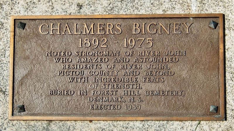 Chalmers Bigney Marker image. Click for full size.