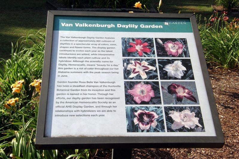 Van Valkenburgh Daylily Garden Marker image. Click for full size.