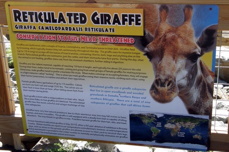 Reticulated Giraffe Marker. Click for full size. Reticulated Giraffe Marker image. Click for full size.