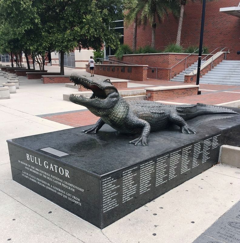 Bull Gator image. Click for full size.