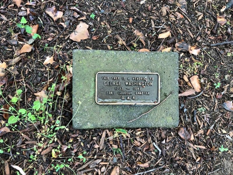 DAR plaque near the marker. Click for full size. DAR plaque near the marker image. Click for full size.