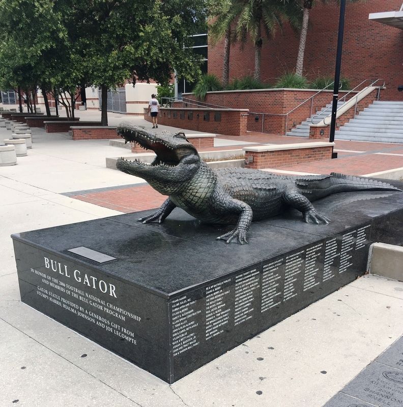 Bull Gator. Click for full size. Bull Gator image. Click for full size.