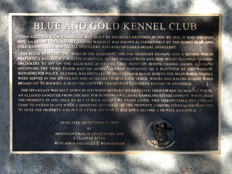 Blue and Gold Kennel Club Marker image. Click for full size.