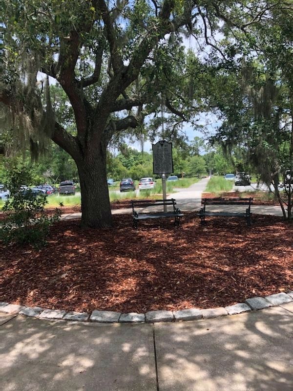 Charles Towne/Old Town Plantation Marker image. Click for full size.