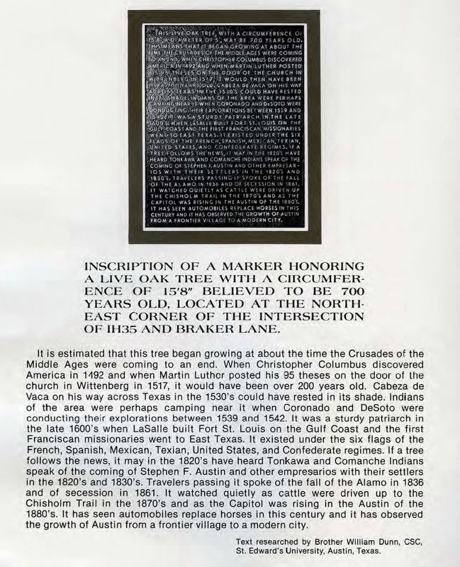 Page 4 of the 1976 Tree Registry describing this 700 year old oak image. Click for full size.