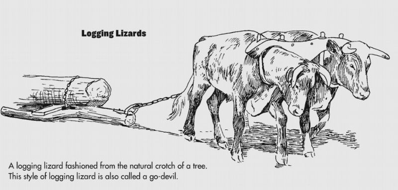 A "lizard" as mentioned in the marker text image. Click for full size.