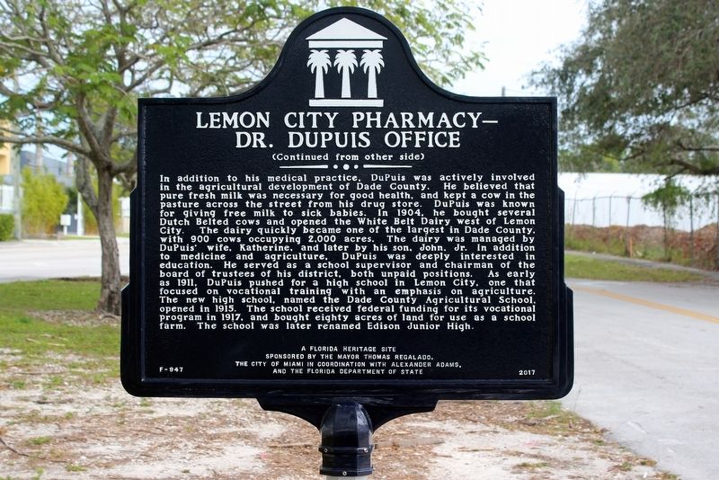 Lemon City Pharmacy-Dr. Dupuis Office Marker Side 2 image. Click for full size.