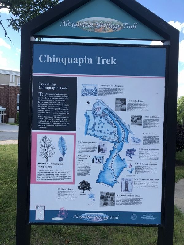 Chinquapin Trek Marker image. Click for full size.