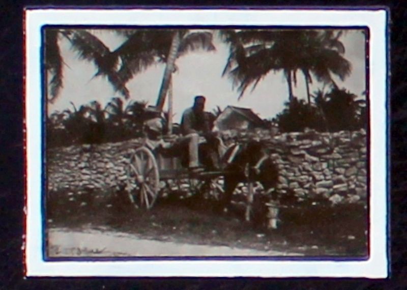 Evangelist Street Charles Avenue Scene image. Click for full size.