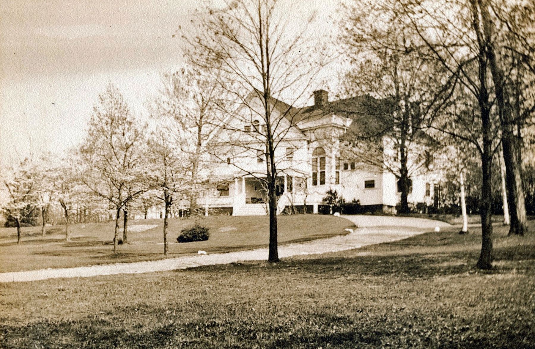 Nutwood image. Click for full size.