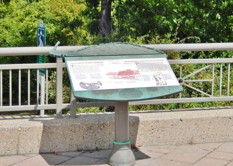 The Capital's Forest Heritage /<br>Le patrimoine forestier de la capitale Marker. Click for full size. The Capital's Forest Heritage /<br>Le patrimoine forestier de la capitale Marker image. Click for full size.