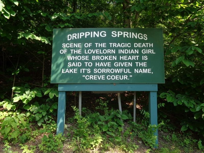 Dripping Springs Marker image. Click for full size.