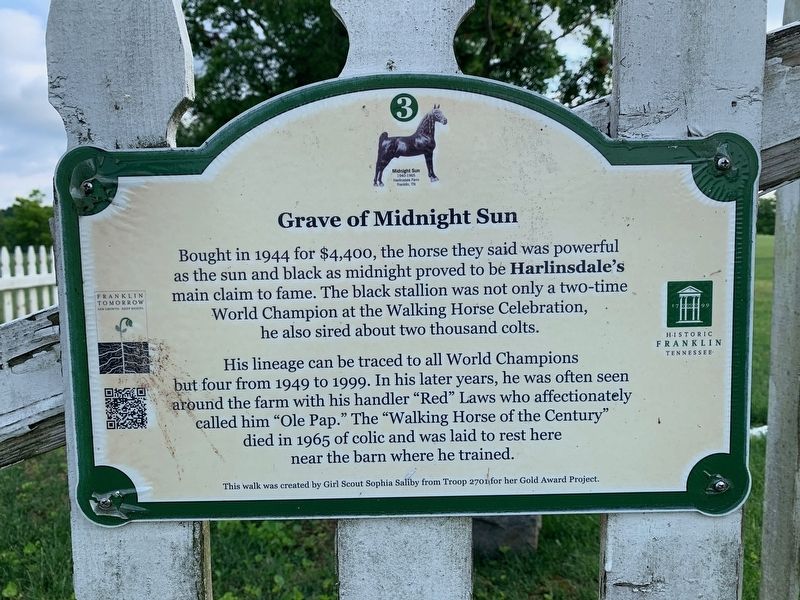 Grave of Midnight Sun Marker image. Click for full size.