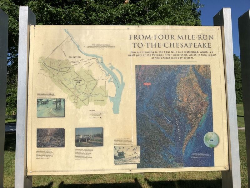 From Four Mile Run To The Chesapeake. Click for full size. From Four Mile Run To The Chesapeake image. Click for full size.