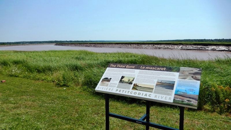 The Tidal Bore / le mascaret Marker image. Click for full size.
