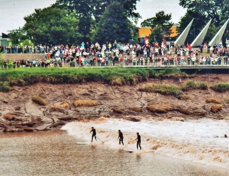 Marker detail: Surfers riding the tidal bore /<br>surfeurs chevauchent le mascaret image. Click for full size.