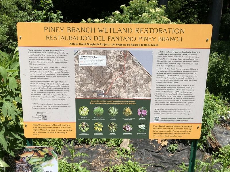 Piney Branch Wetland Restoration Marker image. Click for full size.