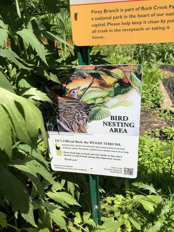 Bird Nesting Area. Click for full size. Bird Nesting Area image. Click for full size.