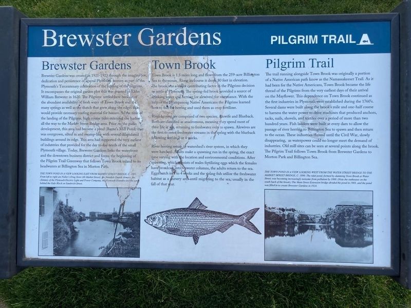 Brewster Gardens Marker. Click for full size. Brewster Gardens Marker image. Click for full size.