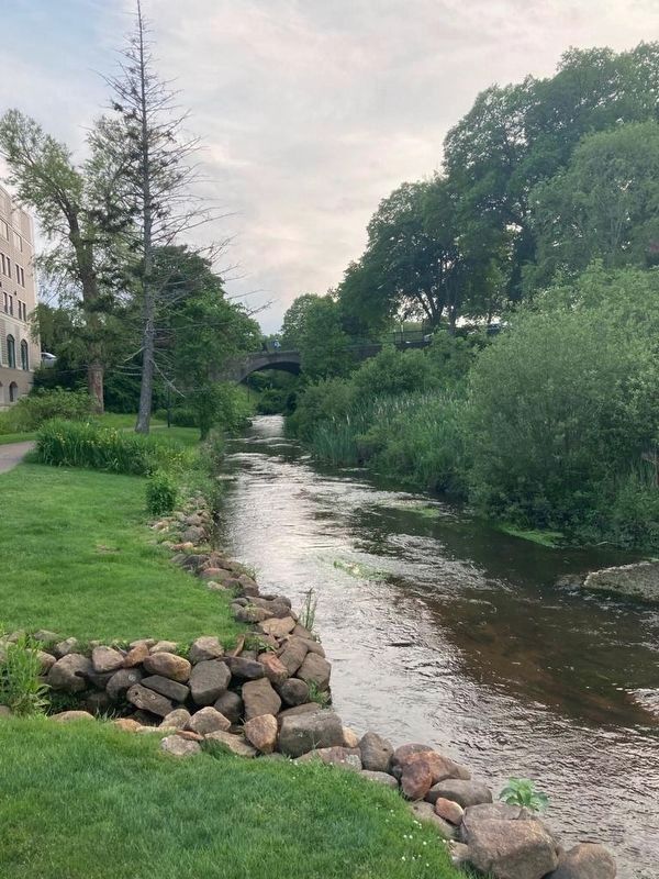 A view of Town Brook to the south. Click for full size. A view of Town Brook to the south image. Click for full size.