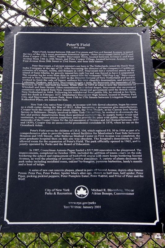 Peter’s Field Marker. Click for full size. Peter’s Field Marker image. Click for full size.