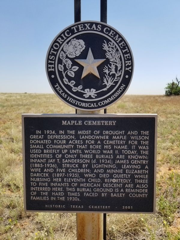 Maple Cemetery Marker. Click for full size. Maple Cemetery Marker image. Click for full size.