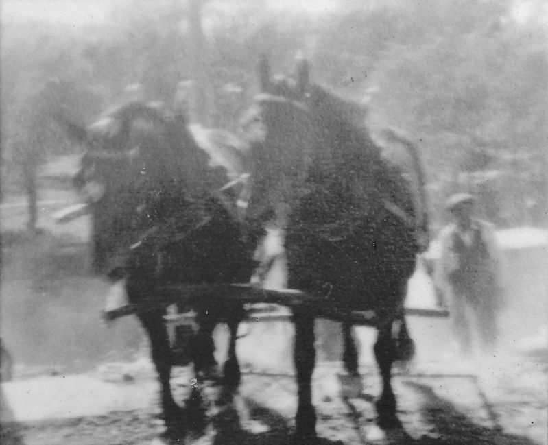 Marker detail: 2 chevaux tirent l'Hôtel des postes vers l'ouest image. Click for full size.