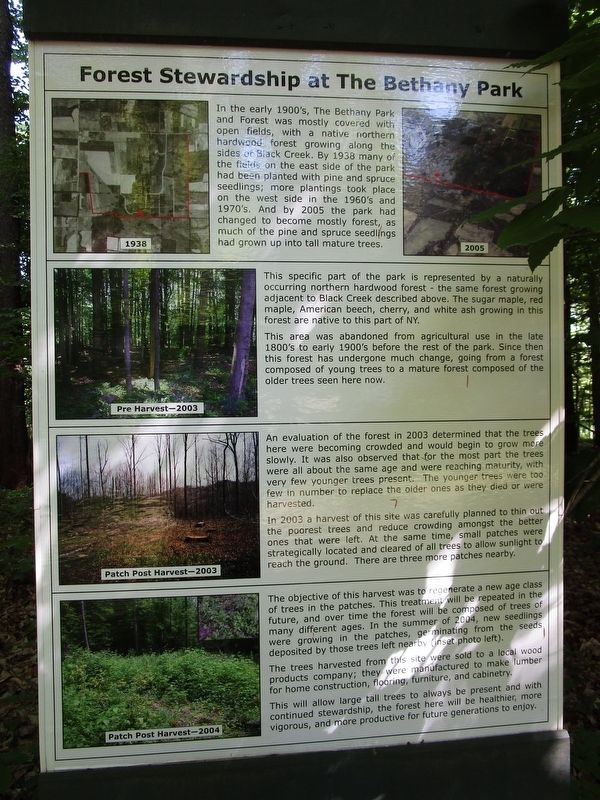 Forest Stewardship at The Bethany Park Marker image. Click for full size.