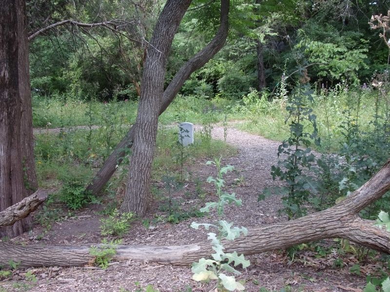 Warren Angus Ferris Cemetery. Click for full size. Warren Angus Ferris Cemetery image. Click for full size.