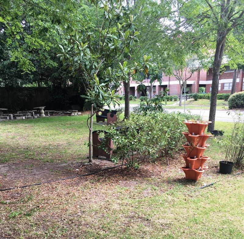 View of the garden image. Click for full size.