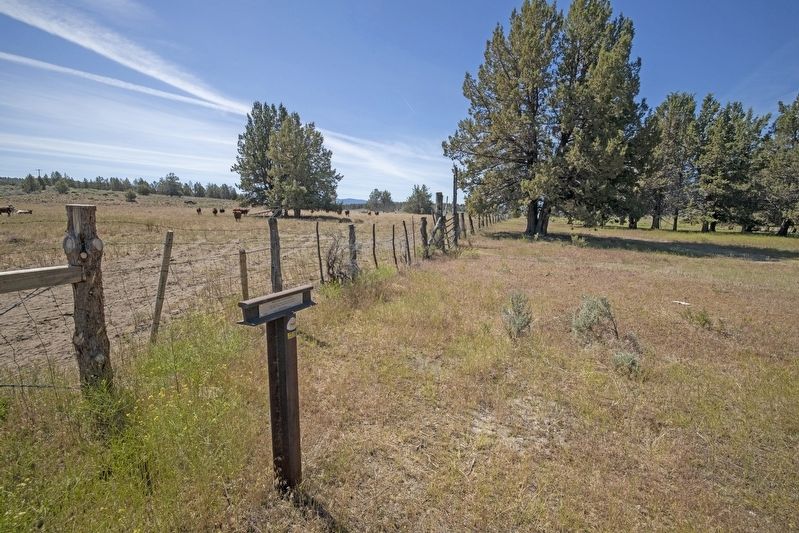 Yreka Trail - Willow Springs Marker. Click for full size. Yreka Trail - Willow Springs Marker image. Click for full size.