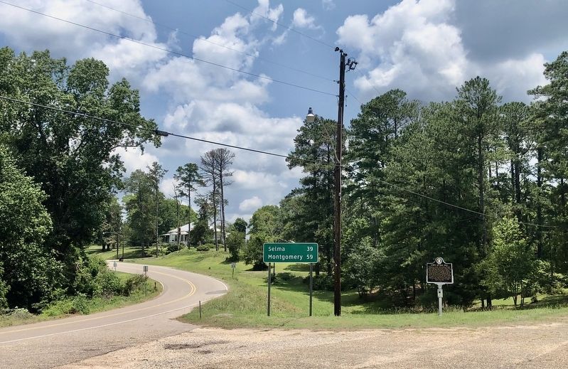 The view north on Alabama State Route 21. image. Click for full size.