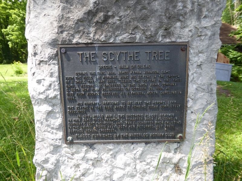 The Scythe Tree Marker image. Click for full size.