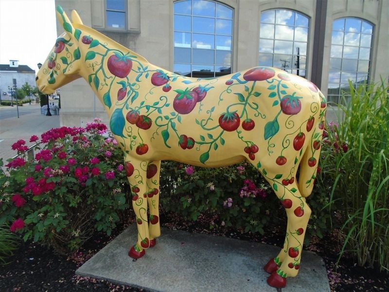 Toni the Tomato Mule. Click for full size. Toni the Tomato Mule image. Click for full size.