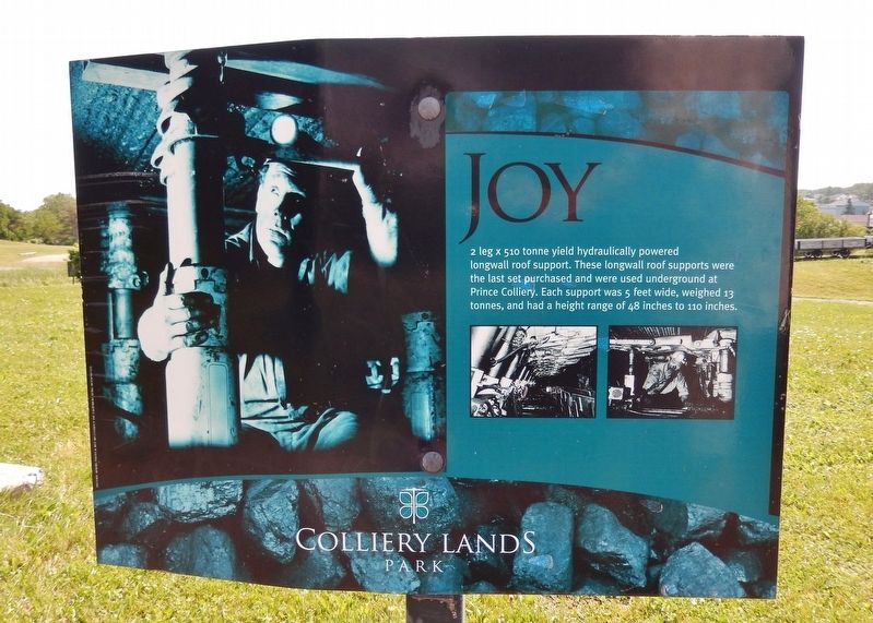 Joy Marker image. Click for full size.