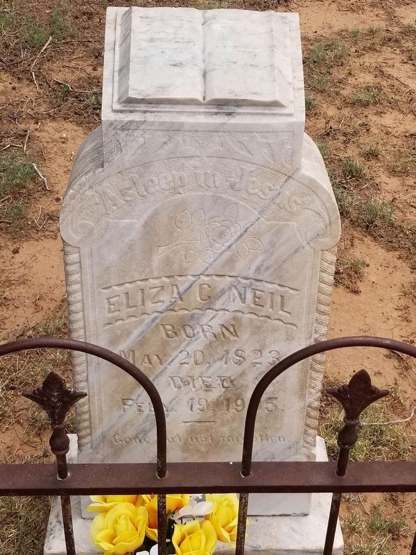 Eliza C. Neil (1823-1905) gravesite at the Pearce Chapel-Strip Cemetery image. Click for full size.