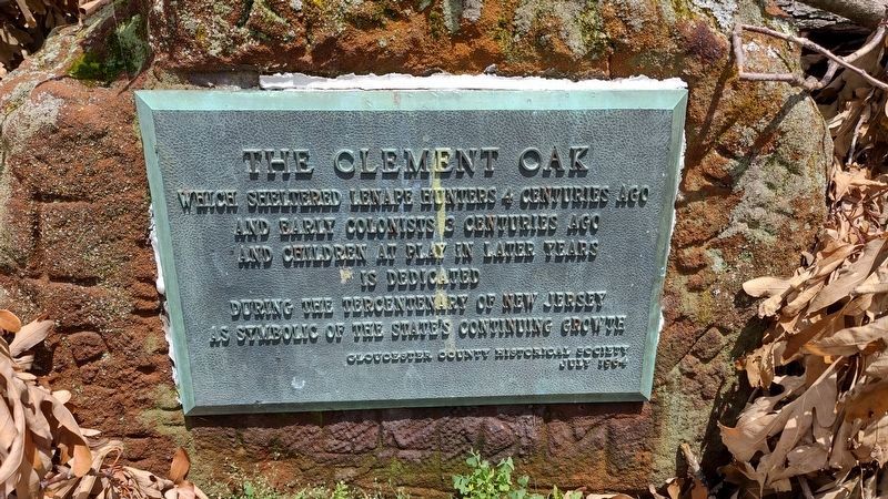 The Clement Oak Marker. Click for full size. The Clement Oak Marker image. Click for full size.