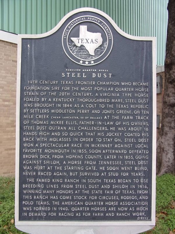 Fabulous Quarter Horse Steel Dust Marker. Click for full size. Fabulous Quarter Horse Steel Dust Marker image. Click for full size.