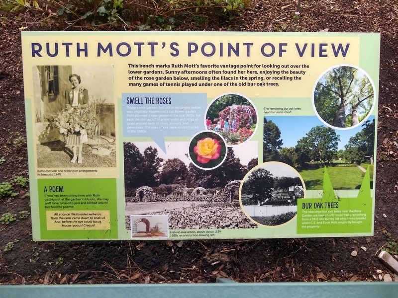 Ruth Mott's Point of View Marker image. Click for full size.